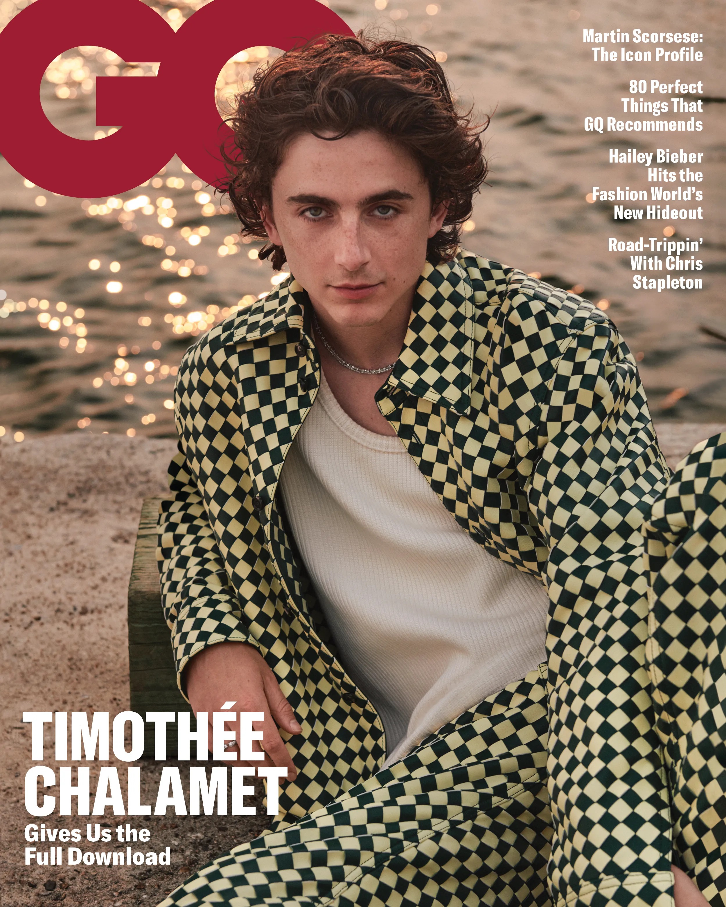 Timothee Chalamet photo #1061599