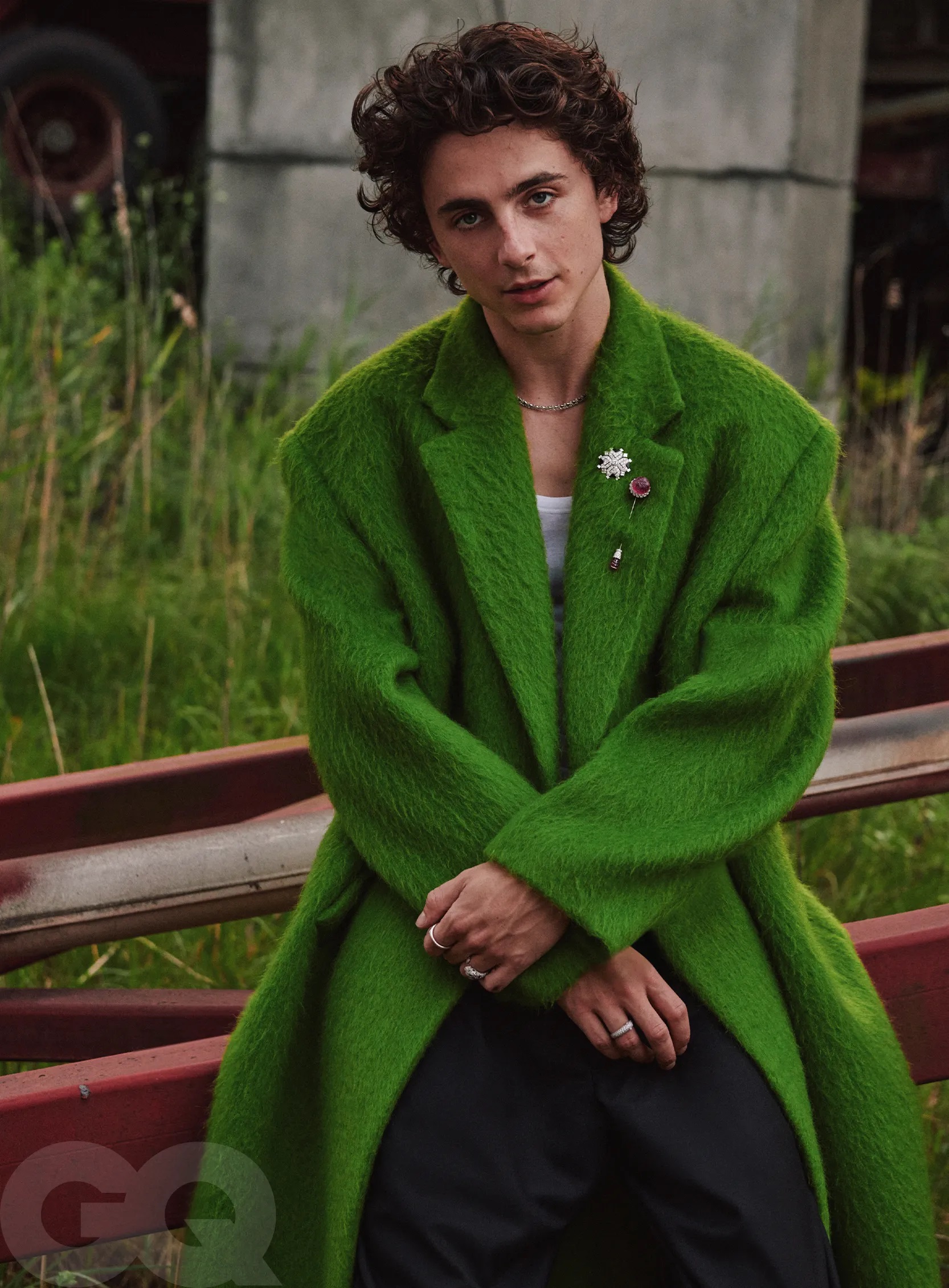 Timothee Chalamet photo #1061602