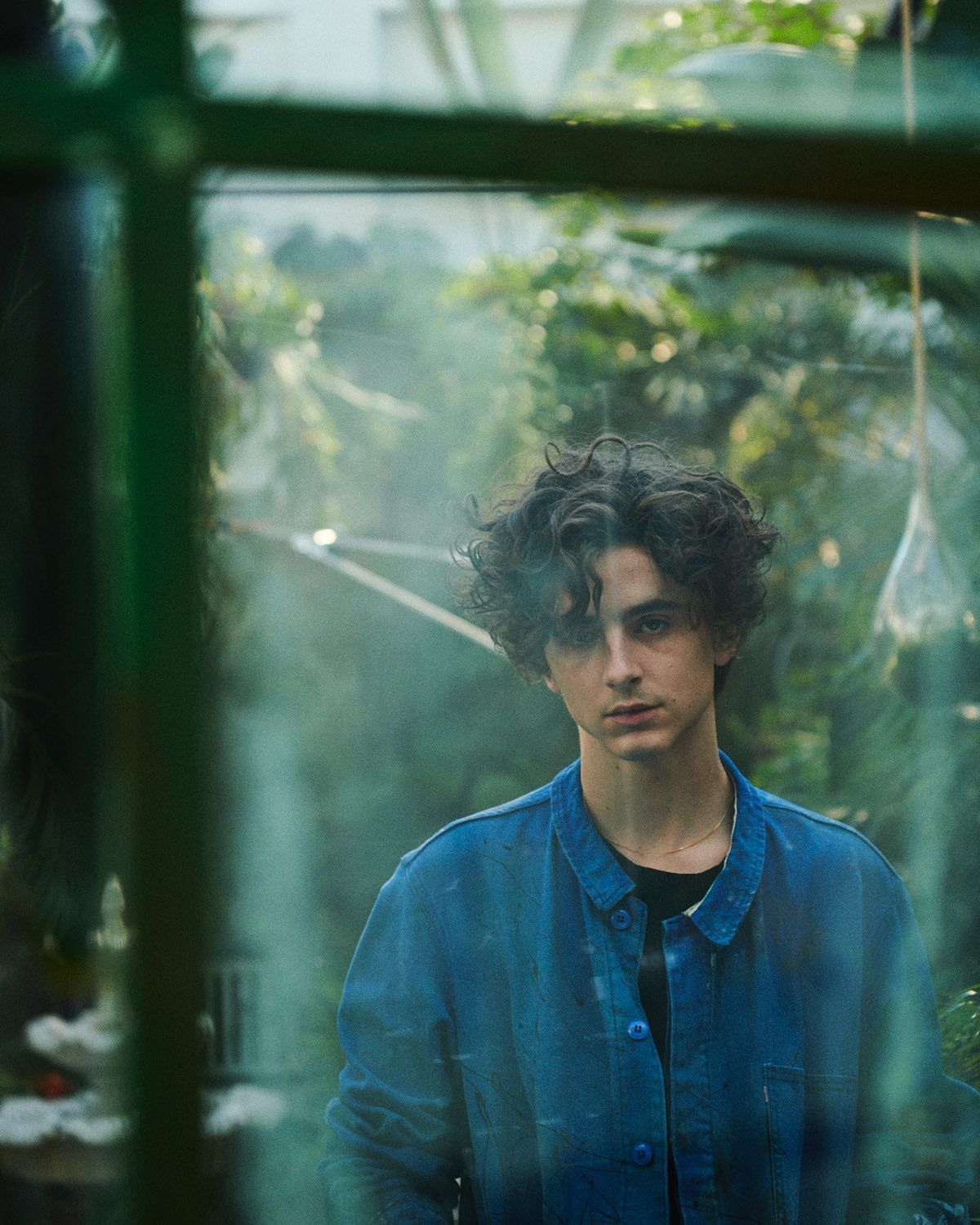 Timothee Chalamet photo #1053805