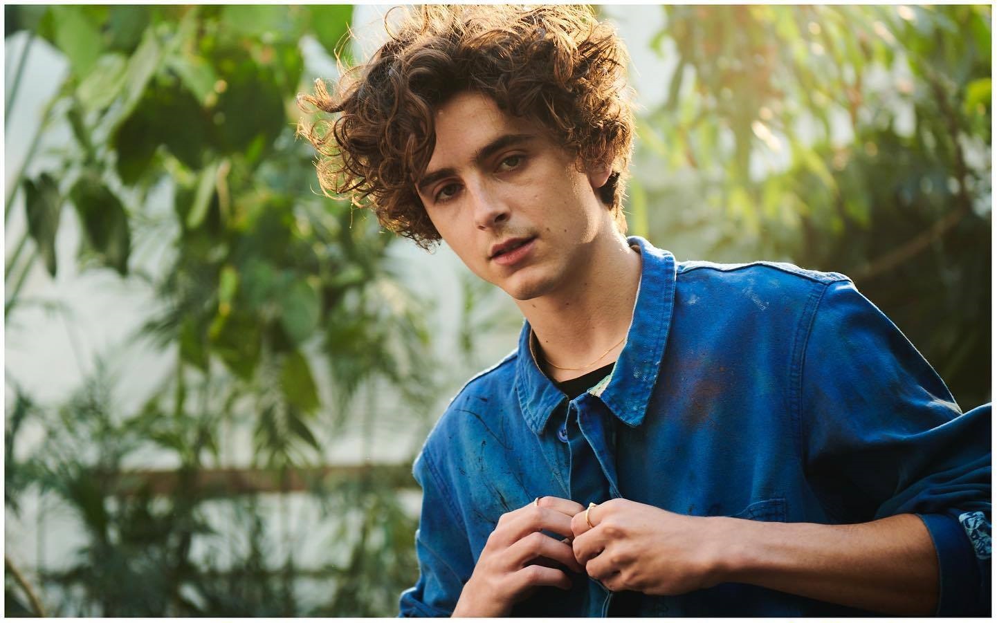 Timothee Chalamet photo #1053807