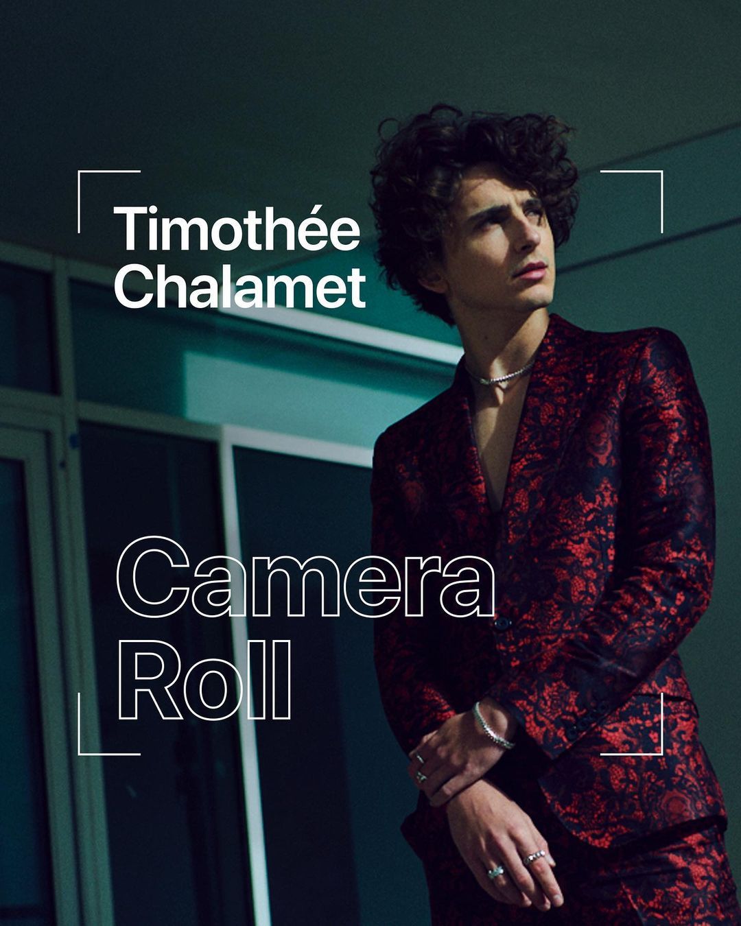 Timothee Chalamet photo #1047527