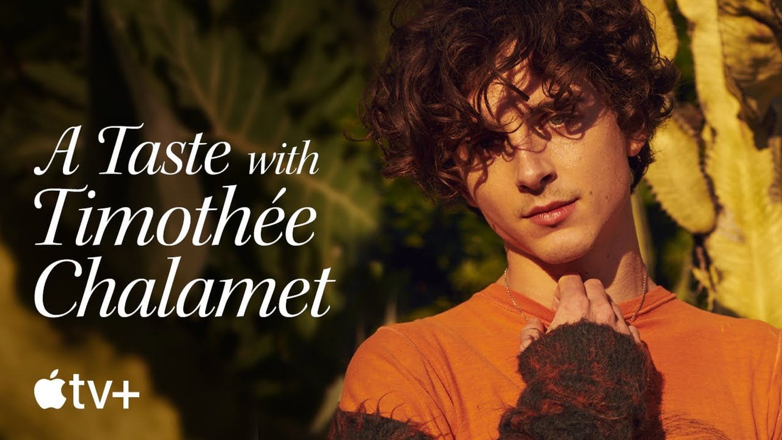 Timothee Chalamet photo #1047528