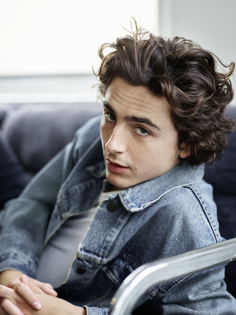 Timothee Chalamet photo #1052856