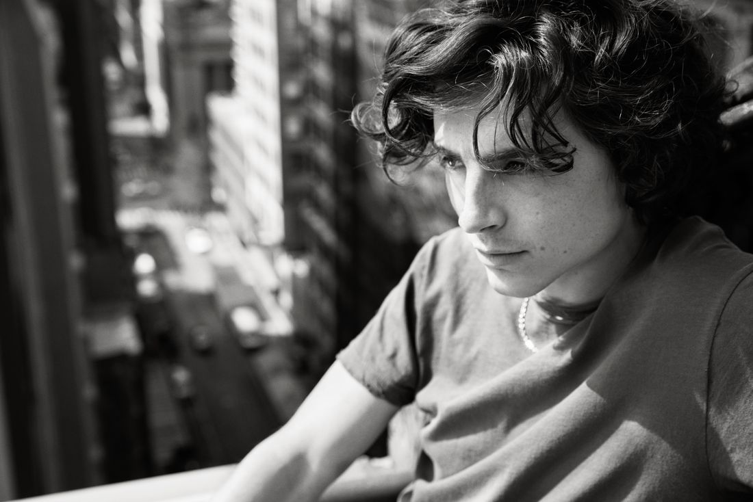 Timothee Chalamet photo #1052852