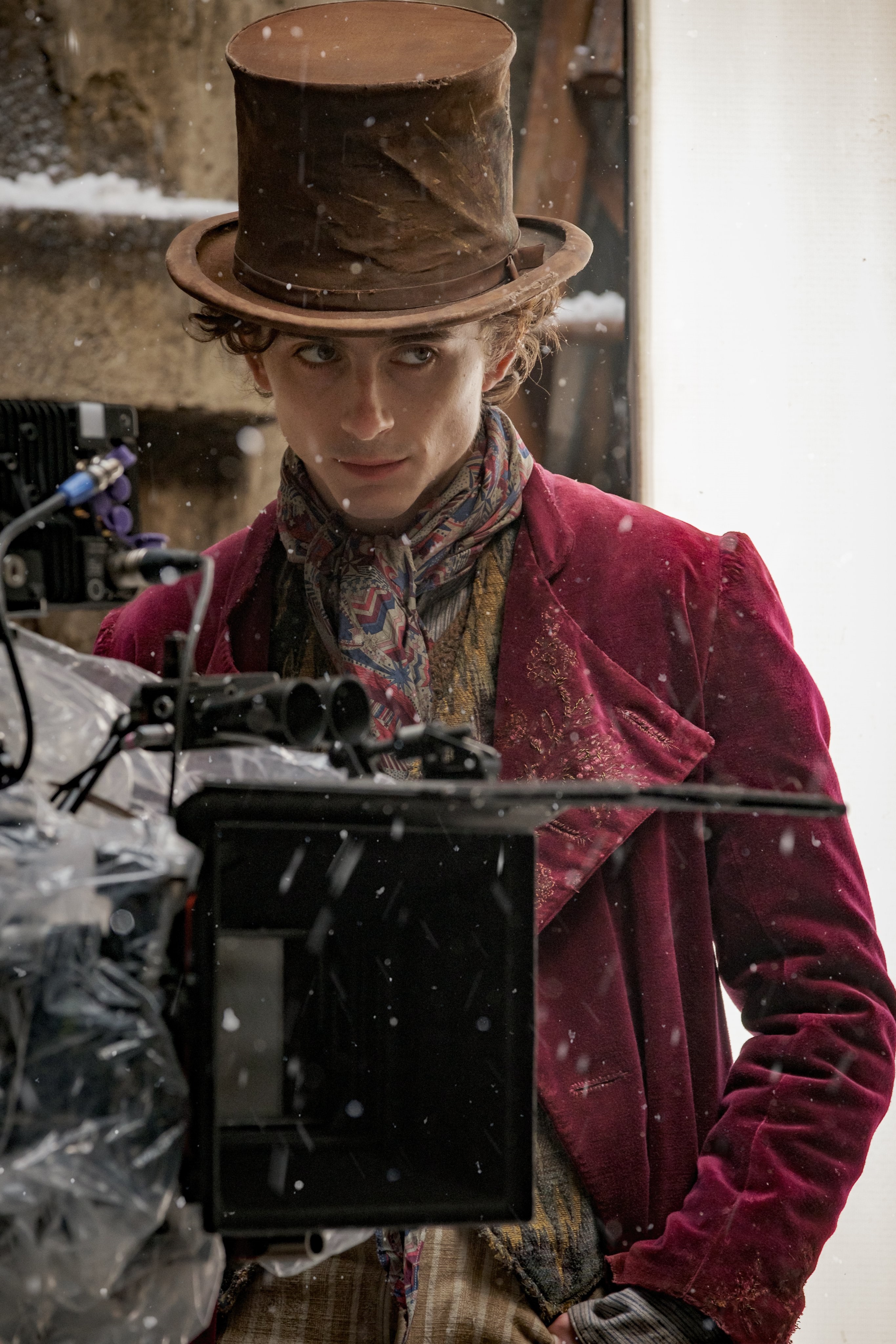 Timothee Chalamet photo #1000840