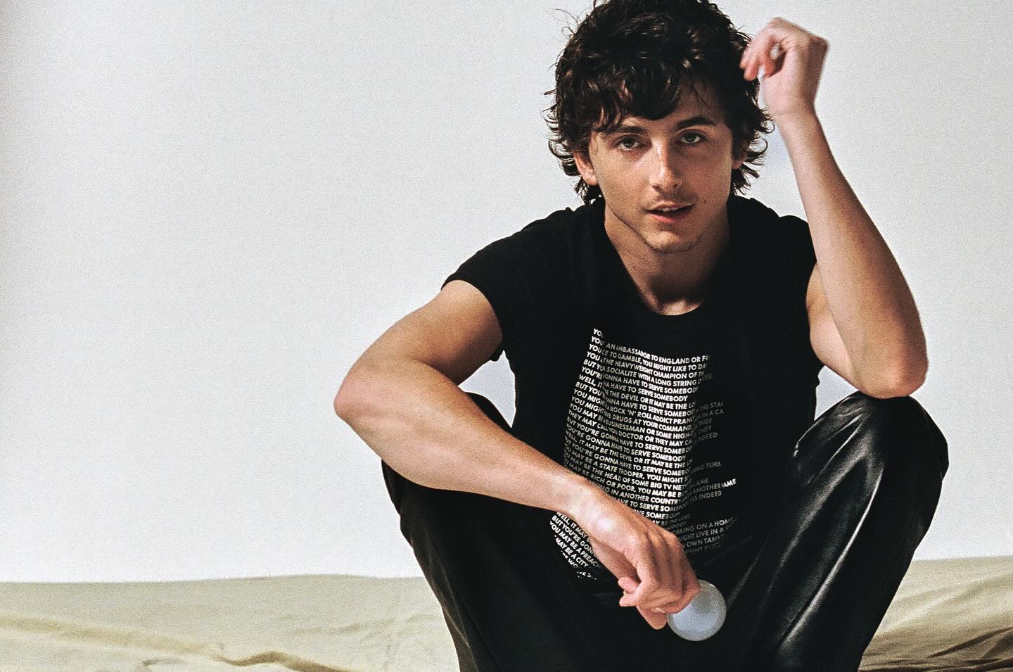 Timothee Chalamet photo #1088906