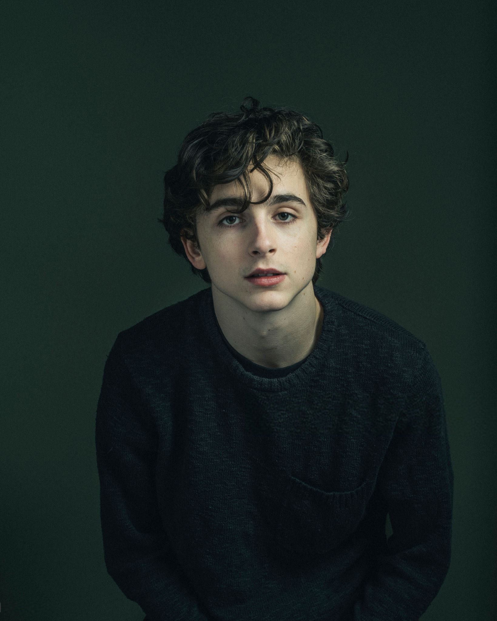 Timothee Chalamet photo #1045087