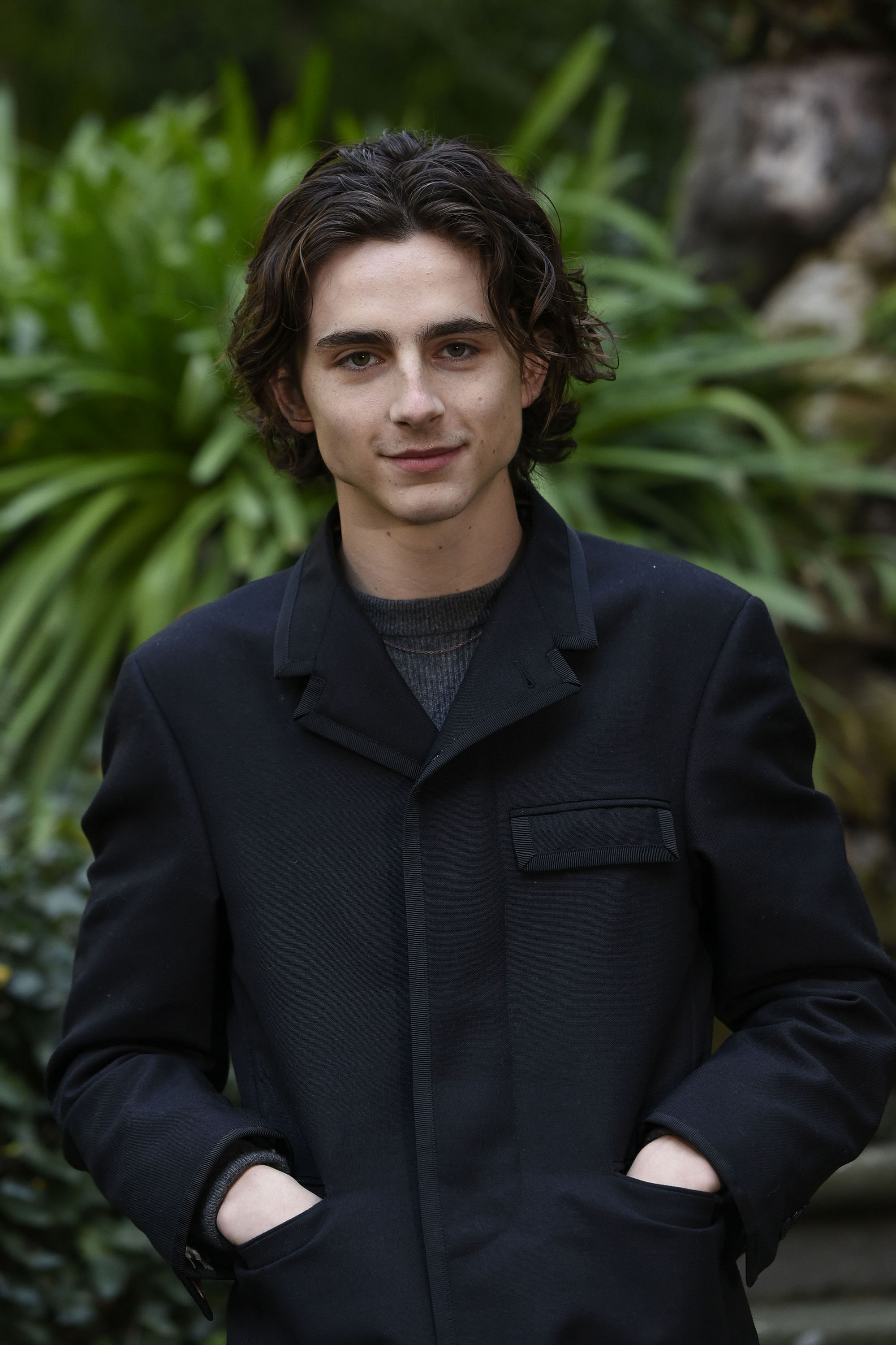 Timothee Chalamet photo #1006723