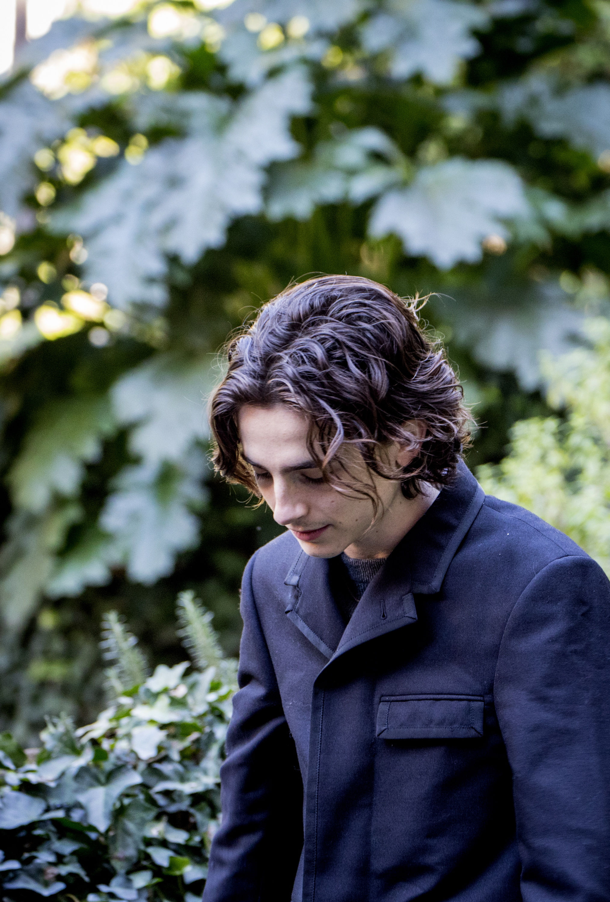 Timothee Chalamet photo #1006721