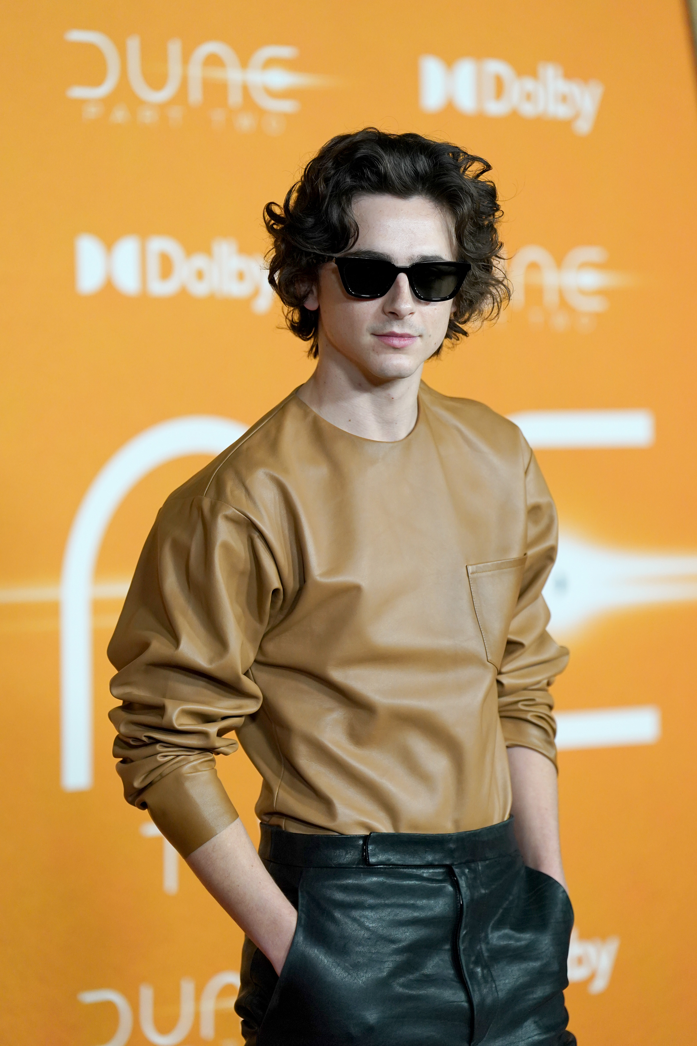 Timothee Chalamet photo #1071492