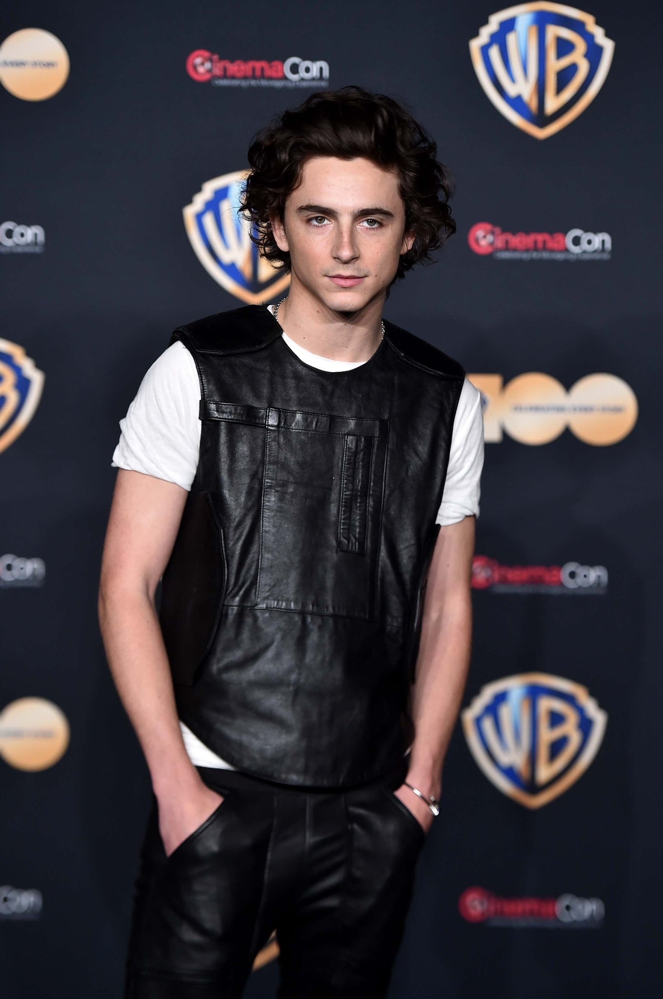 Timothee Chalamet photo #1053640