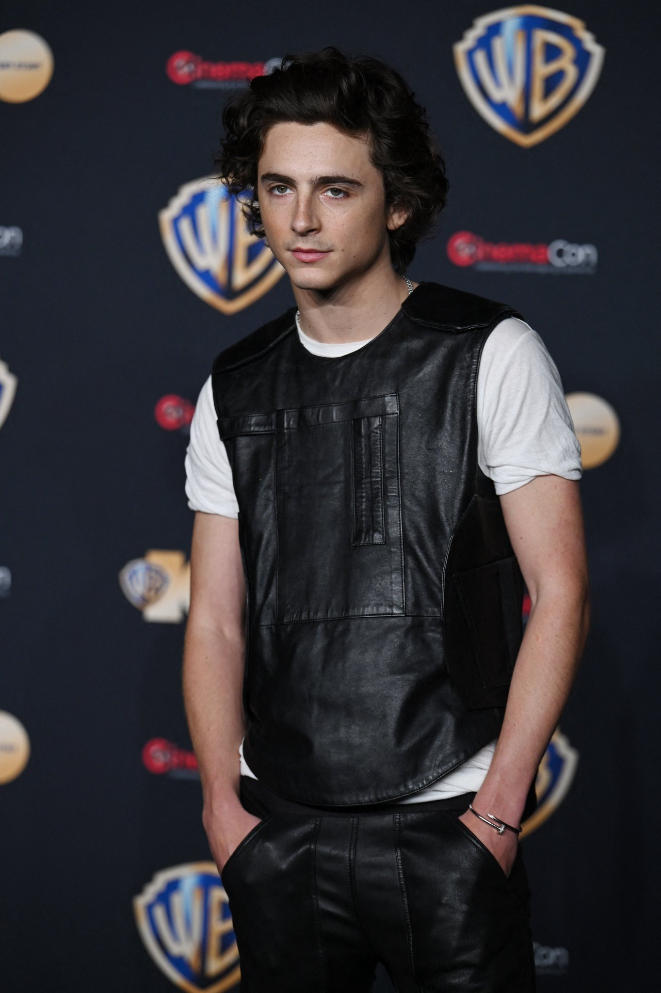 Timothee Chalamet photo #1051741