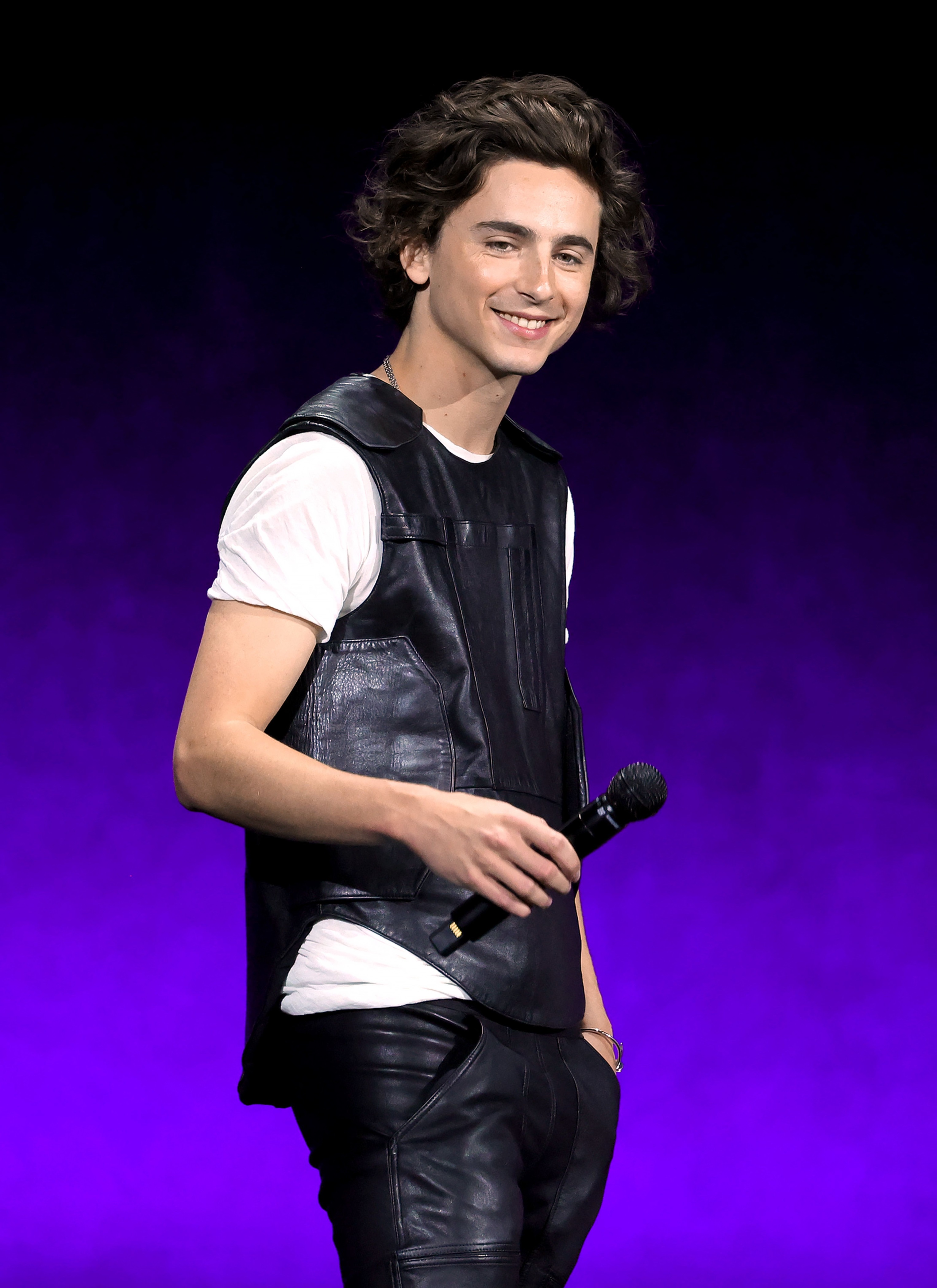 Timothee Chalamet photo #1052038