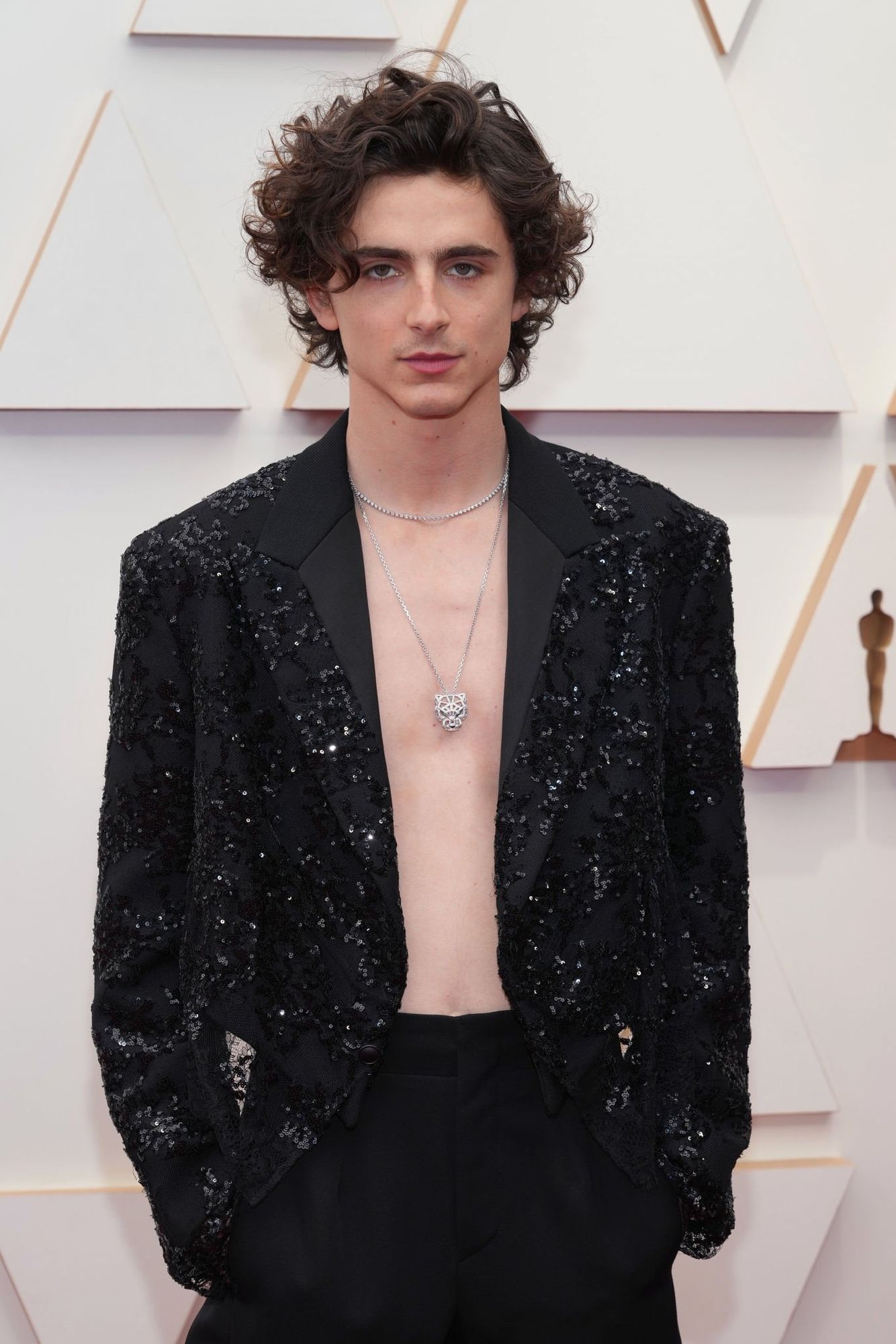 Timothee Chalamet photo #1057494