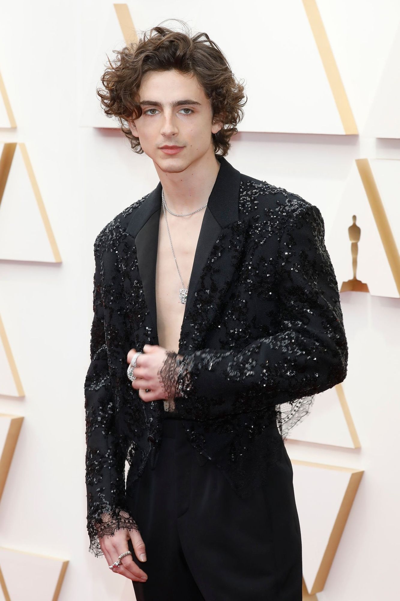 Timothee Chalamet photo #1044775