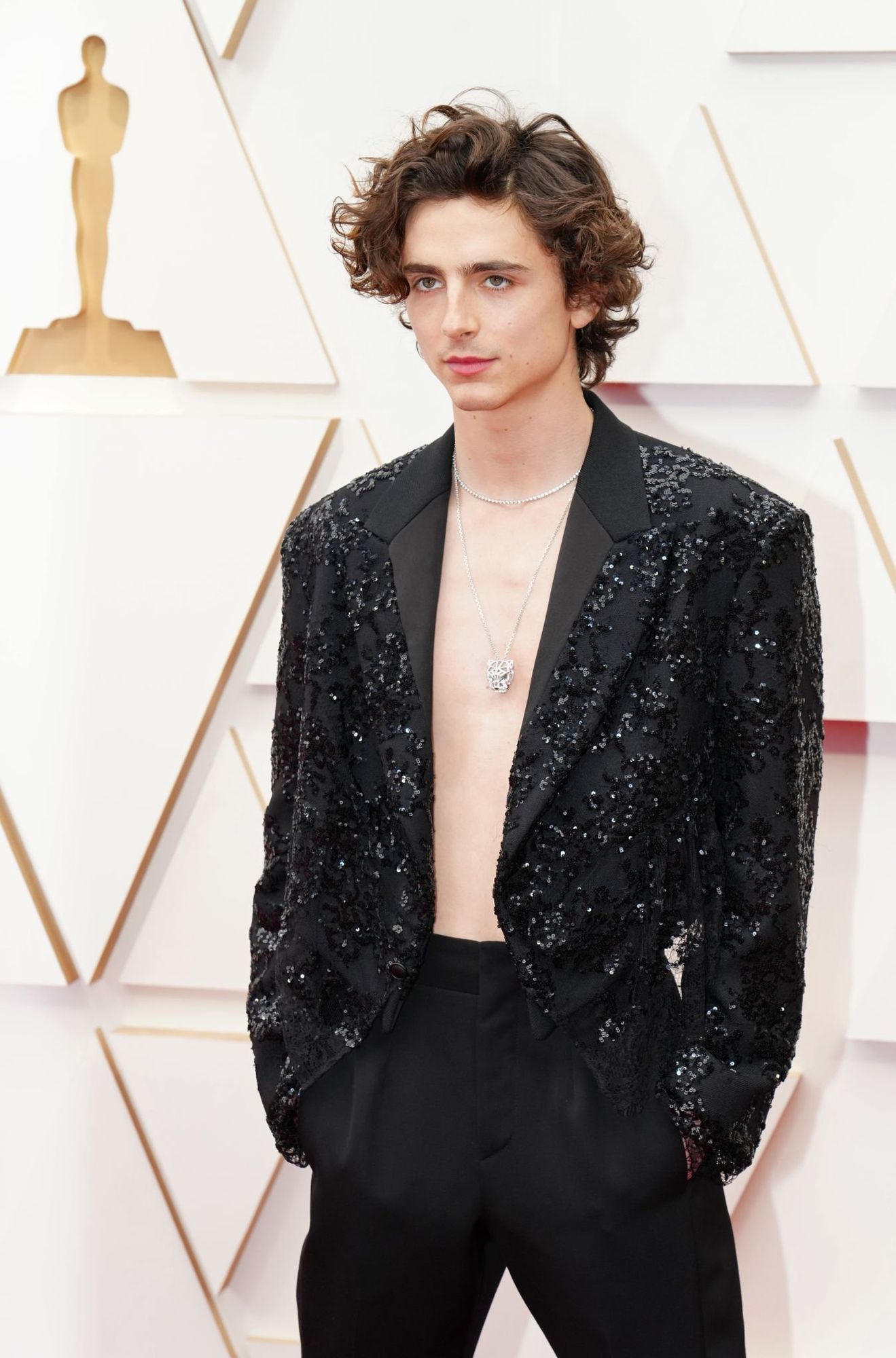 Timothee Chalamet photo #1043357