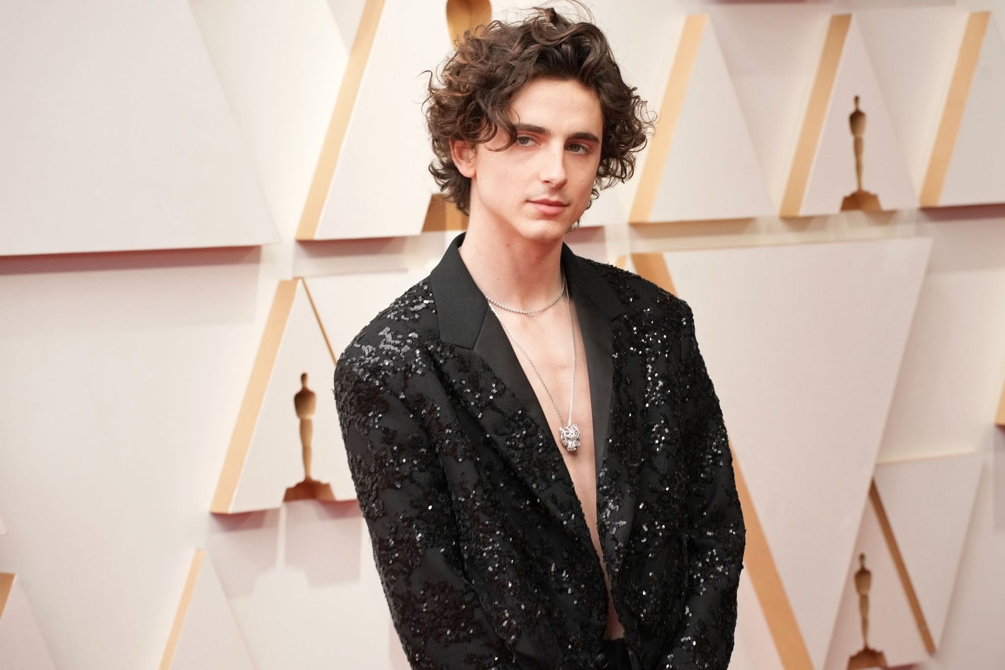 Timothee Chalamet photo #1043356