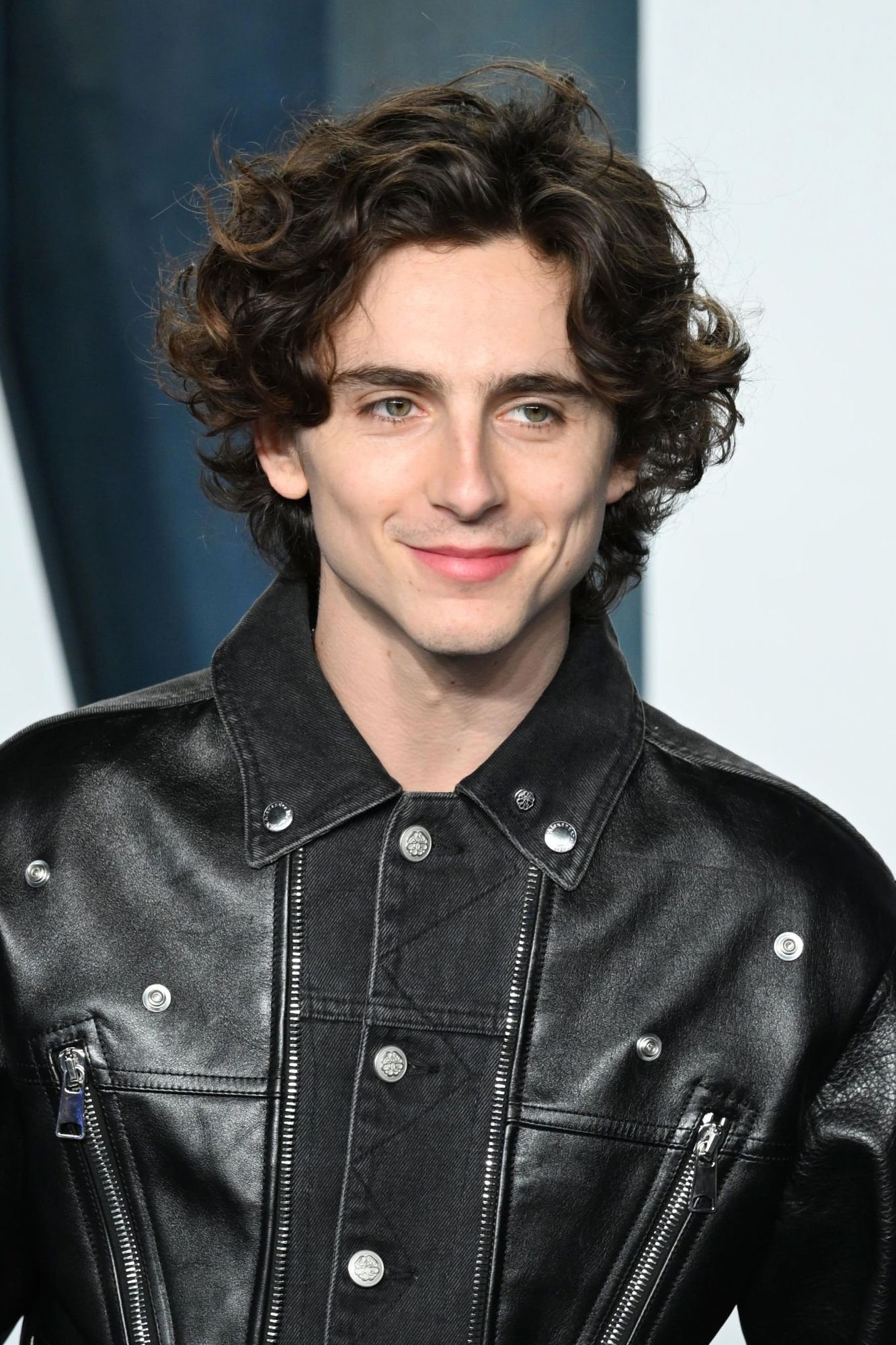 Timothee Chalamet photo #1043564