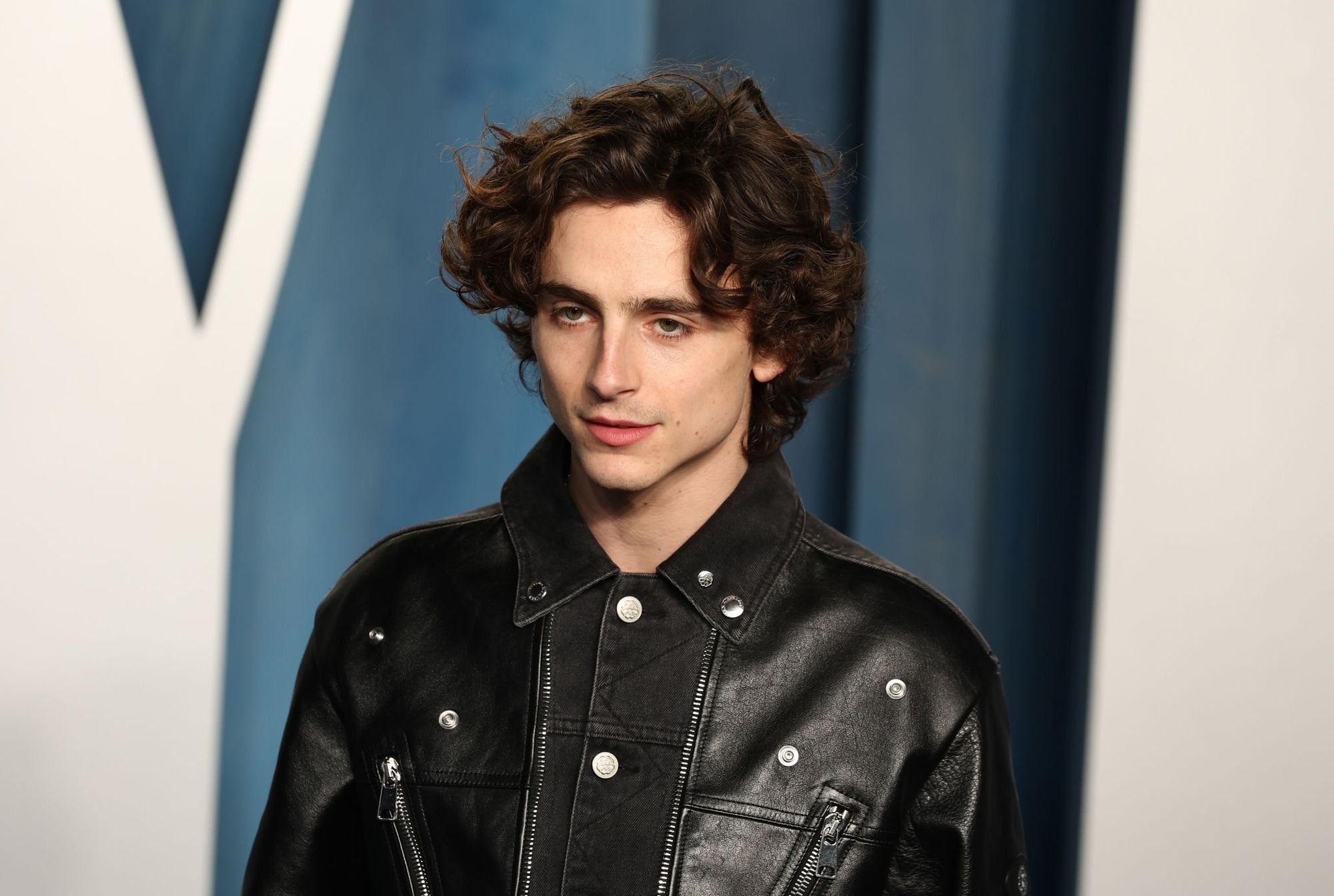 Timothee Chalamet photo #1047138