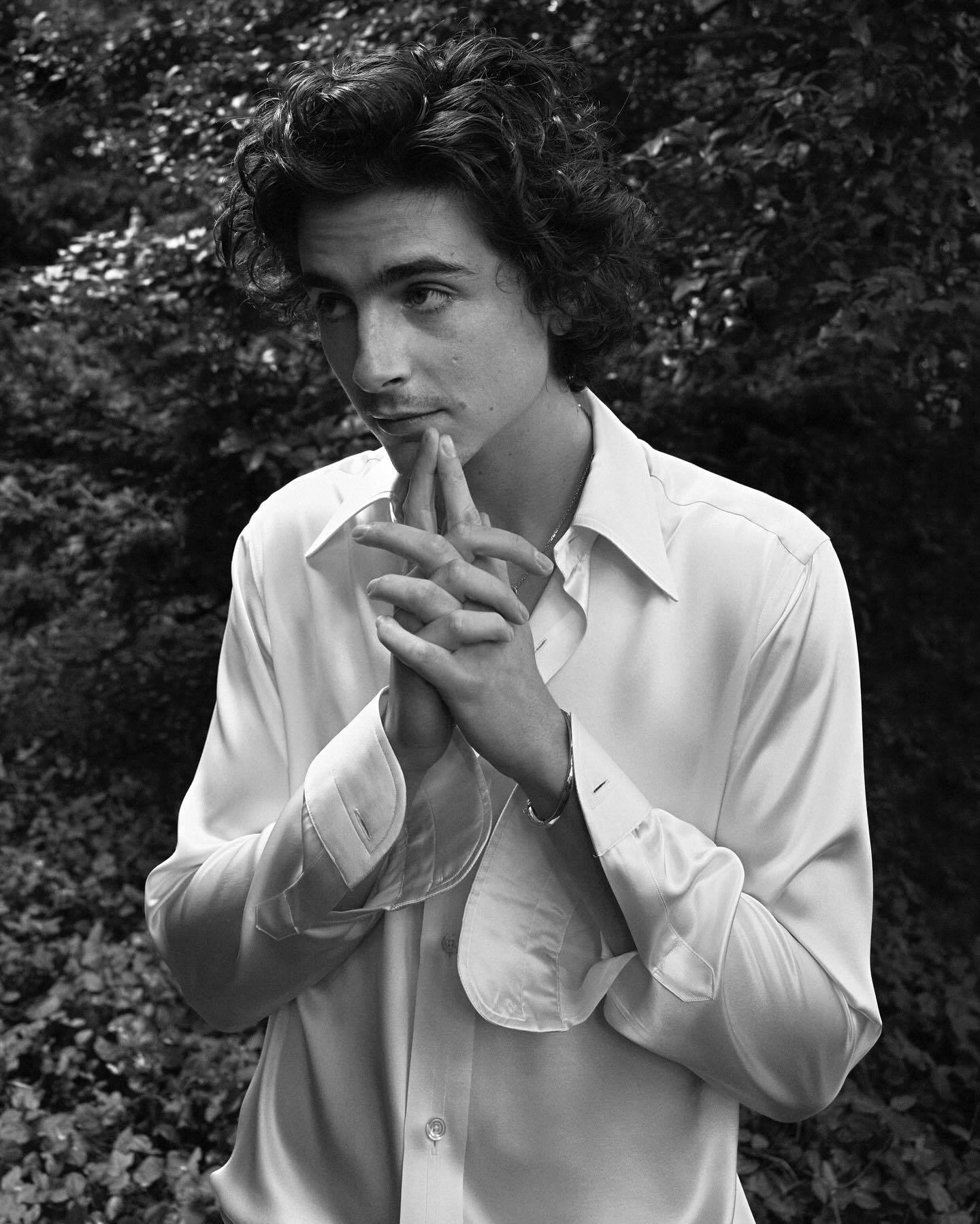 Timothee Chalamet photo #1061857