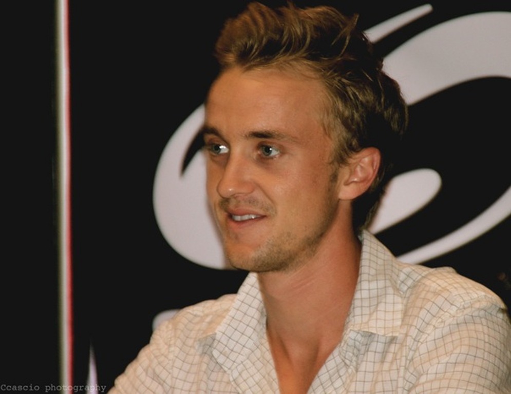 Tom Felton photo #351987