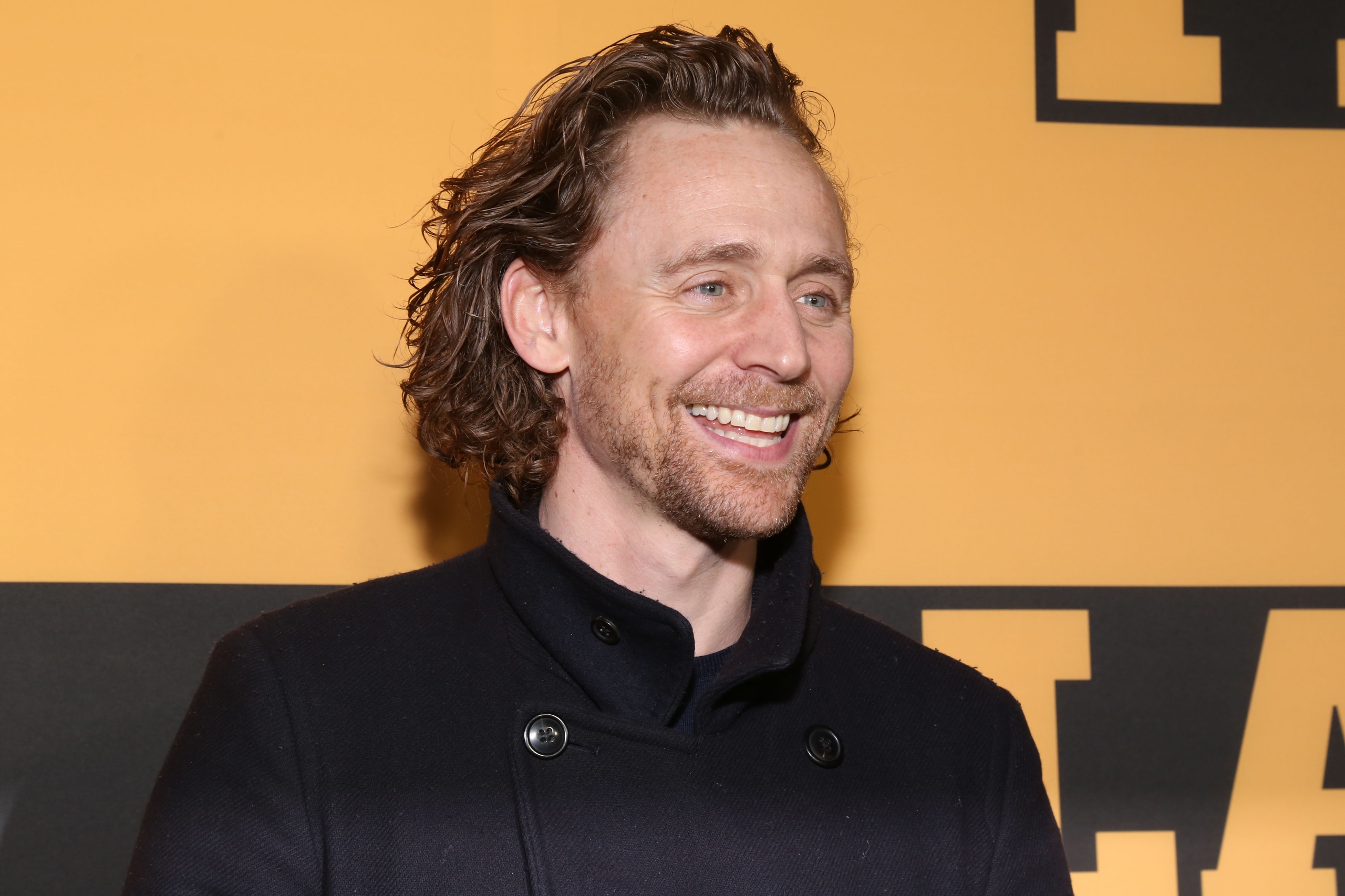 Tom Hiddleston photo #937845