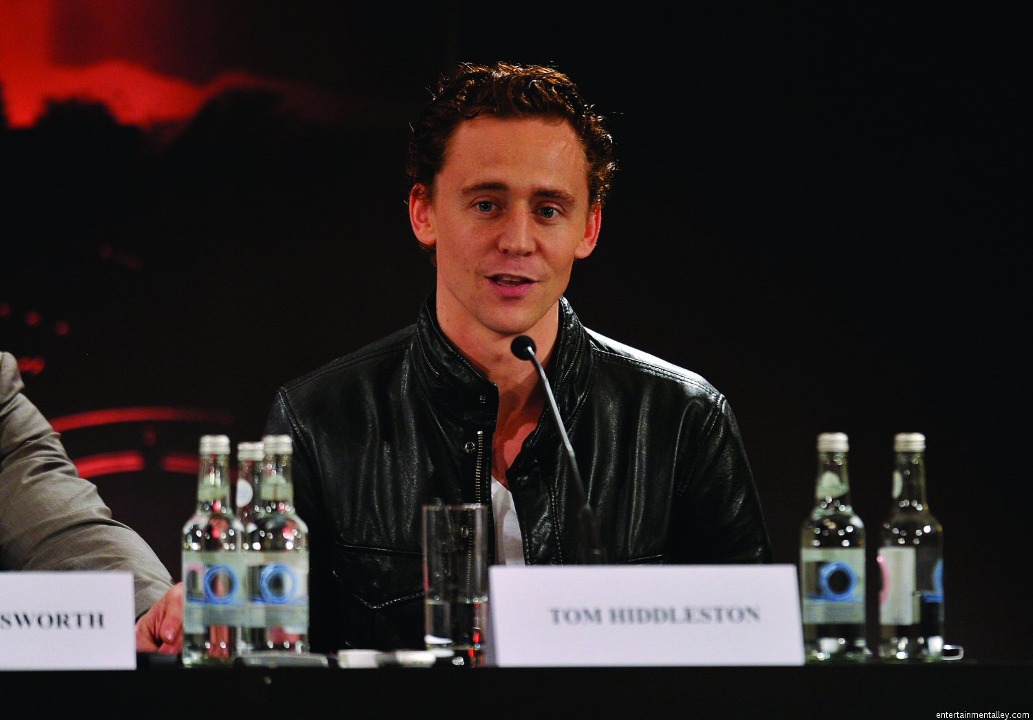 Tom Hiddleston photo #295010