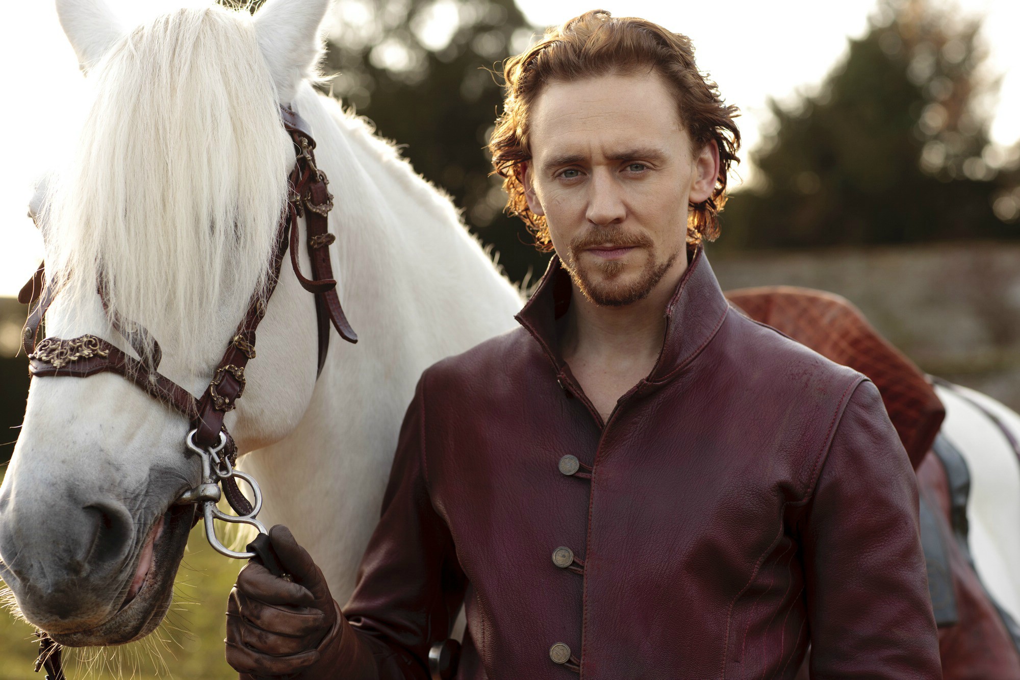 Tom Hiddleston photo #541893