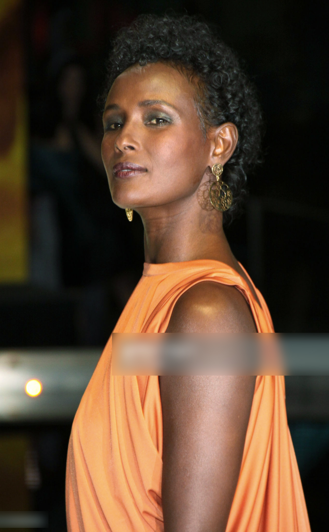 Waris Dirie photo #925159