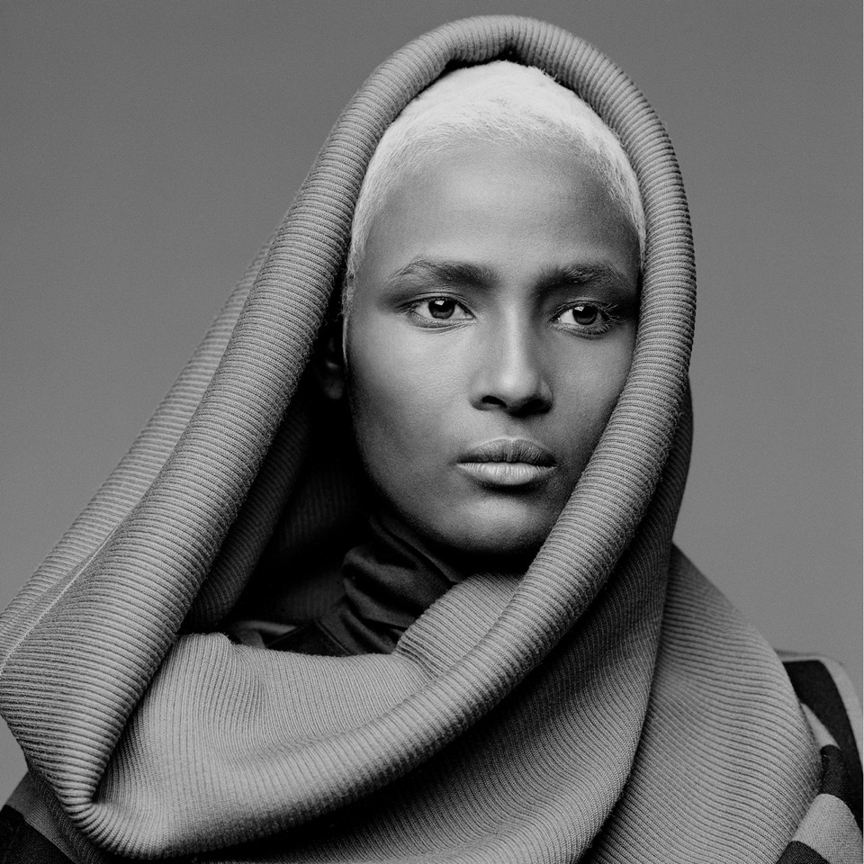 Waris Dirie photo #925175