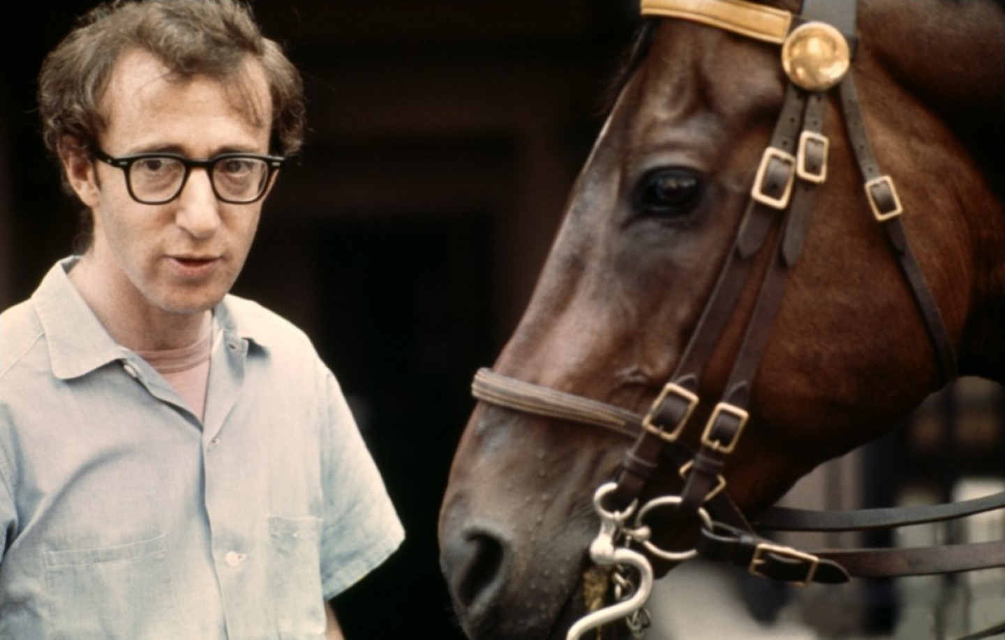 Woody Allen photo #133374