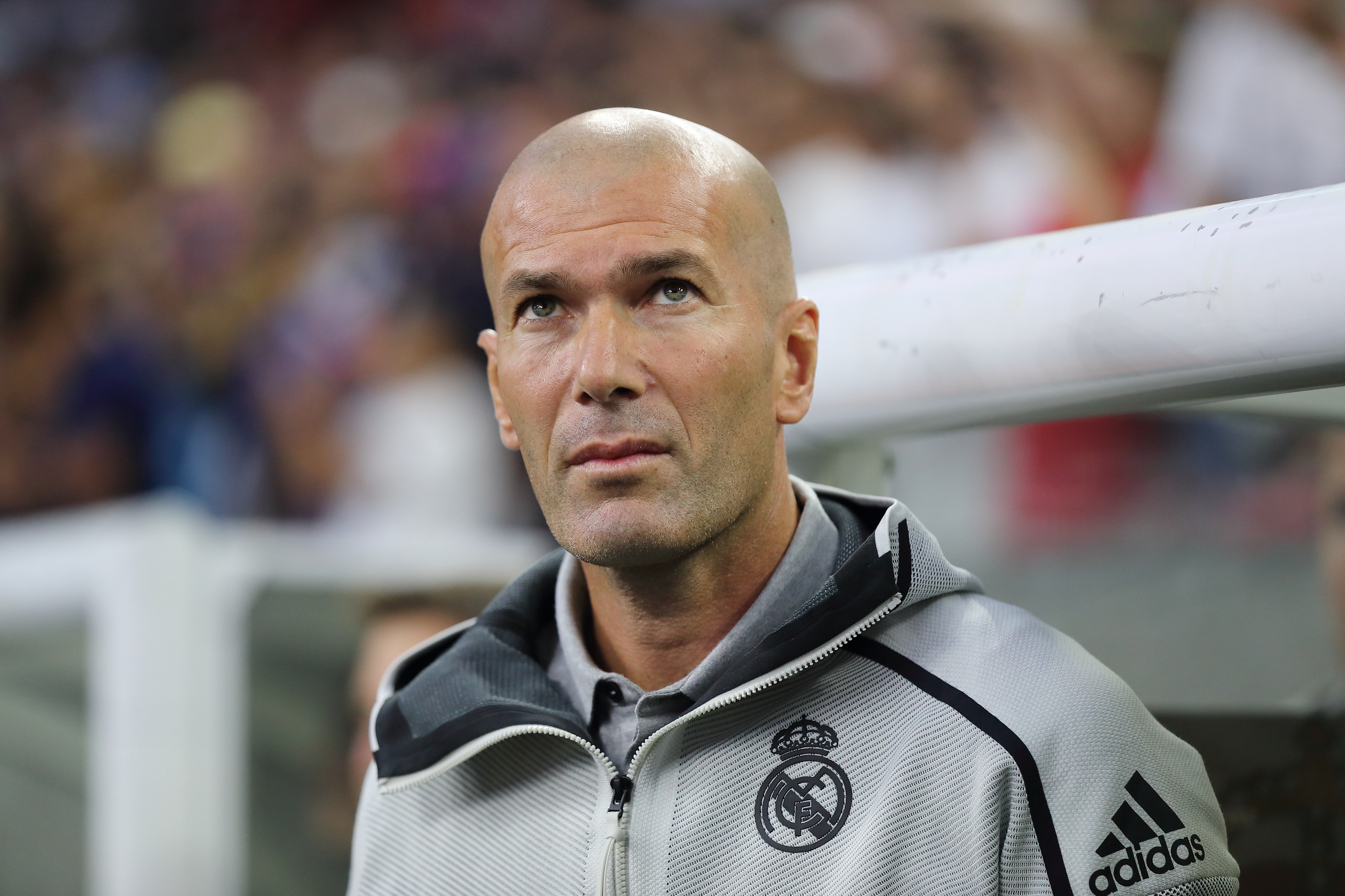 Zinedine Zidane photo #947406