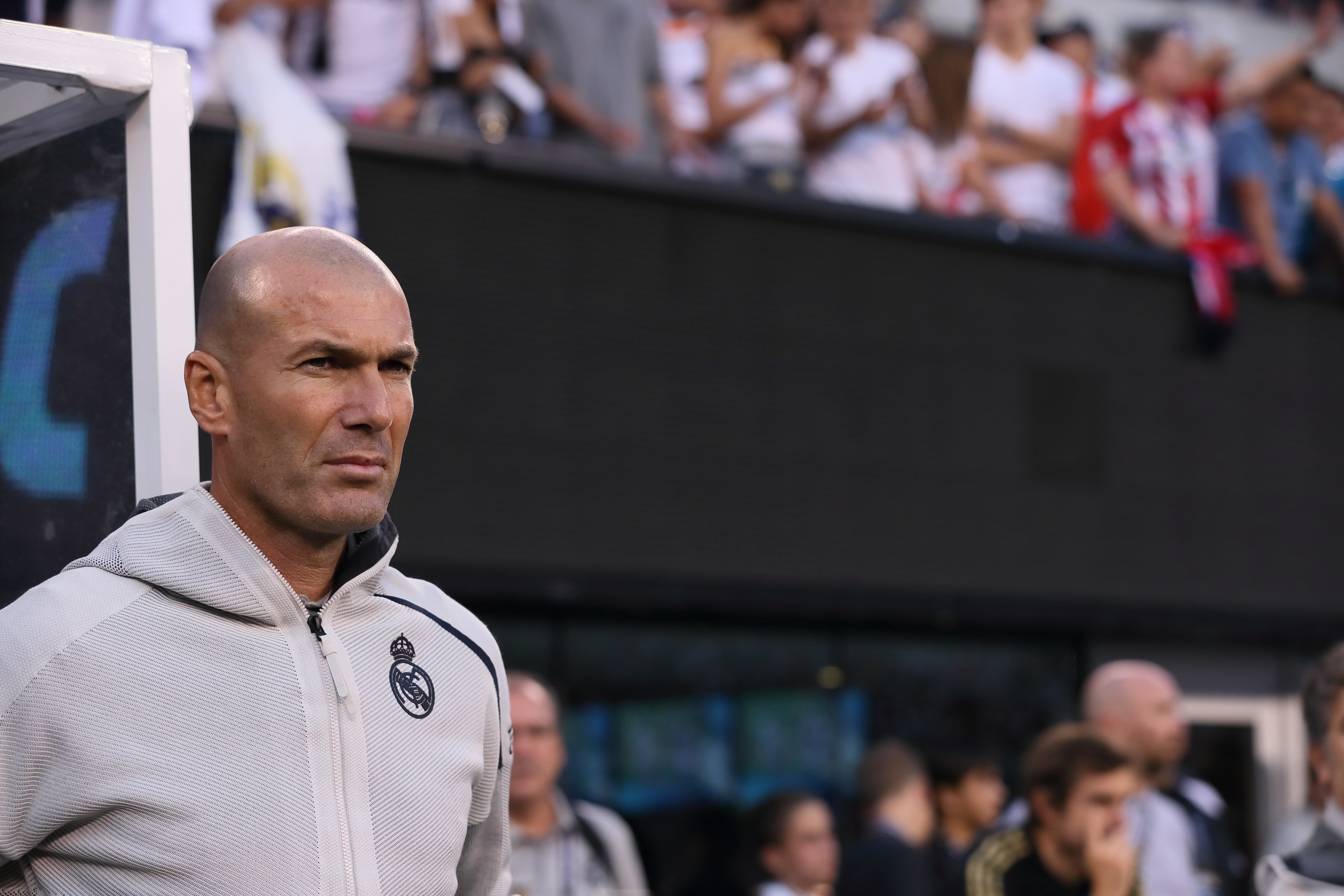 Zinedine Zidane photo #947405