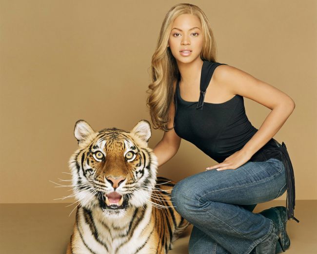 Beyonce was Attacked for a Picture with Tiger