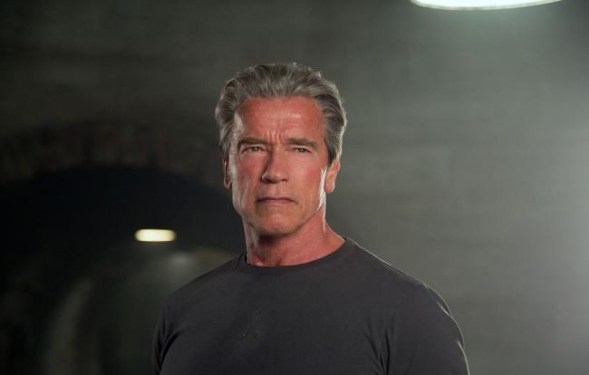 Arnold Schwarzenegger will replace Donald Trump in The Celebrity Apprentice
