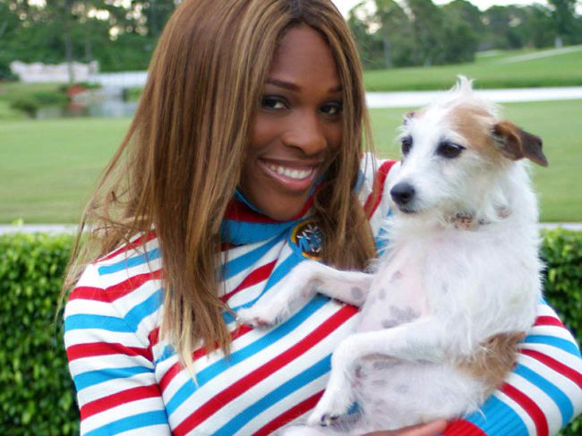 Death of Serena Williams' Dog Jackie
