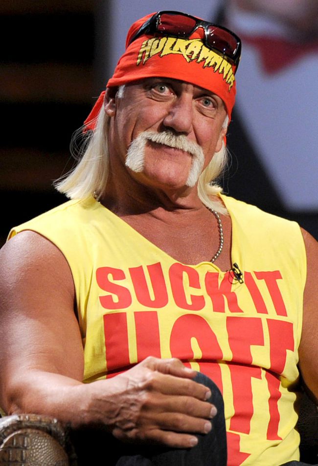 Hulk Hogan is battling Gawker Once Again