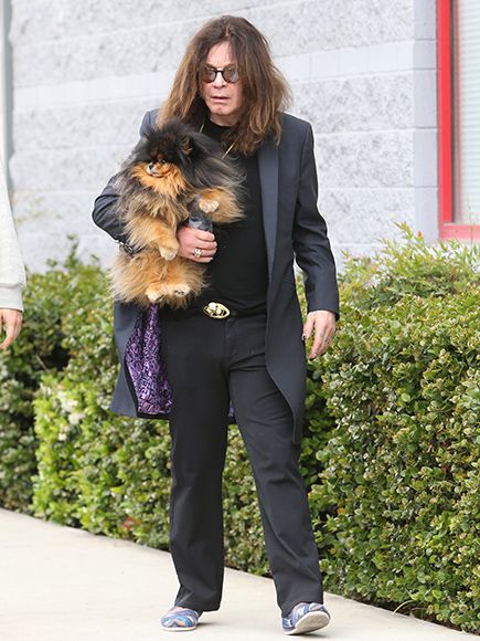 Ozzy Osbourne Shows Himself to the Public after the Split with Sharon: Sober for 3 Years