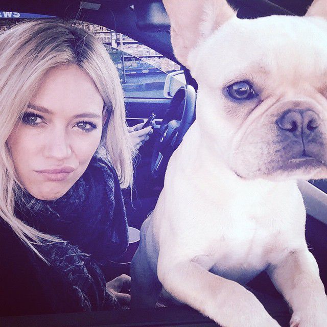 Hilary Duff's post after the Death of Her Dog