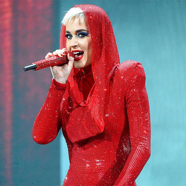 Katy Perry Has Been Stalked During Witness Tour