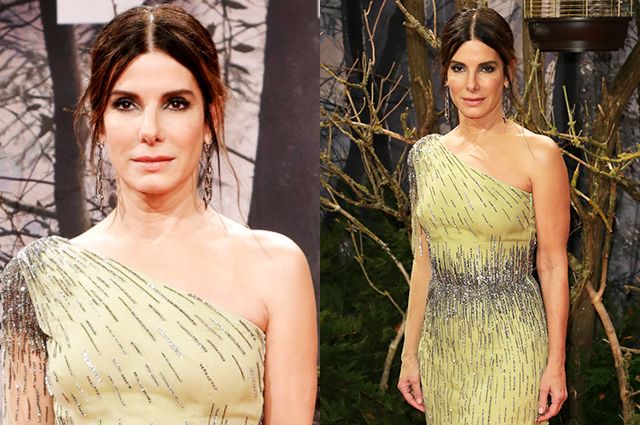 Sandra Bullock conquered the red carpet with a luxurious dress