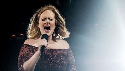 Adele can lose half of her fortune